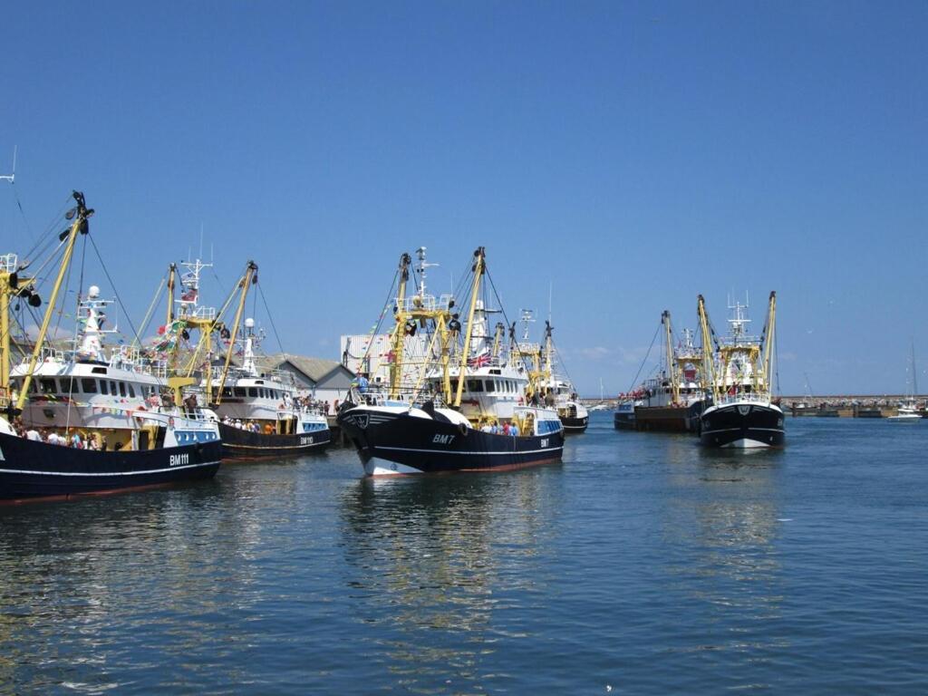 A Modern And Cosy Apartment Just Yards From Brixham'S Bustling Harbourside Экстерьер фото